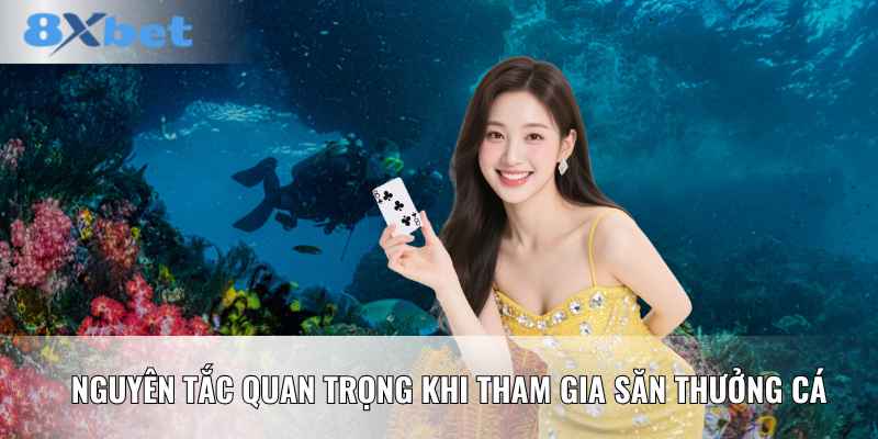 Nguyên tắc quan trọng khi tham gia săn thưởng cá