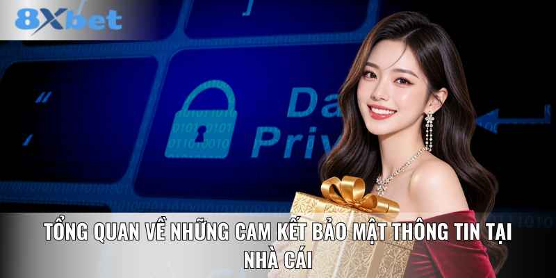 Tổng quan về những cam kết bảo mật thông tin tại nhà cái